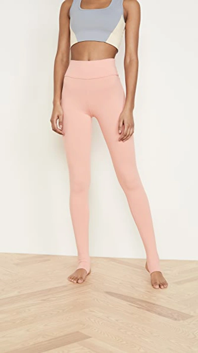Shop Live The Process Ballet Stirrup Leggings In Blooming Dahlia
