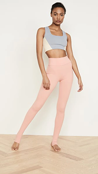 Shop Live The Process Ballet Stirrup Leggings In Blooming Dahlia