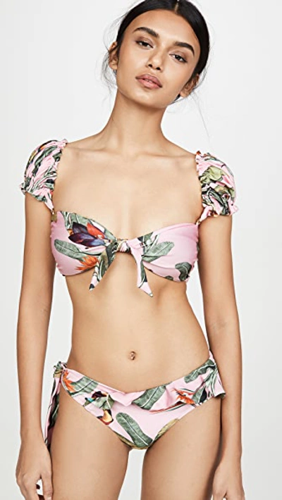 Shop Patbo Tropical Print Cap Sleeve Bikini Top In Pop Pink