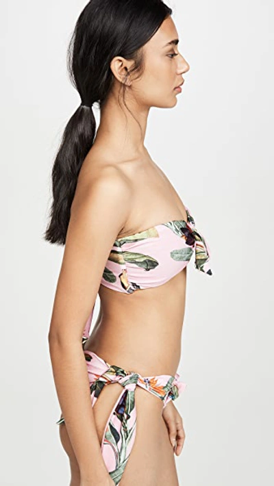 Shop Patbo Tropical Print Cap Sleeve Bikini Top In Pop Pink