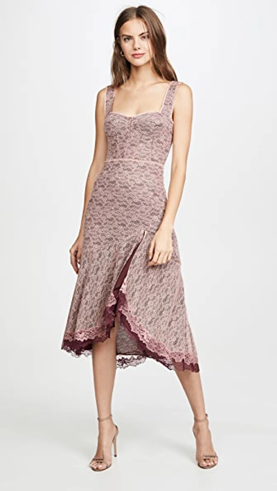 Shop Jonathan Simkhai Lace Open Slit Bustier Dress In Sienna/antique Rose