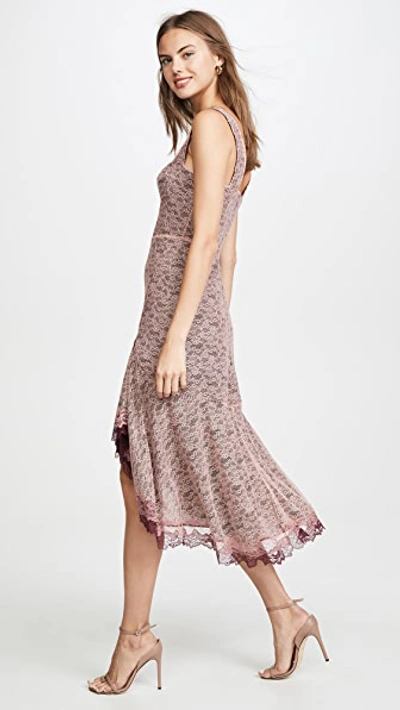 Shop Jonathan Simkhai Lace Open Slit Bustier Dress In Sienna/antique Rose