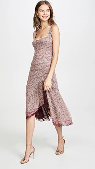 Shop Jonathan Simkhai Lace Open Slit Bustier Dress In Sienna/antique Rose