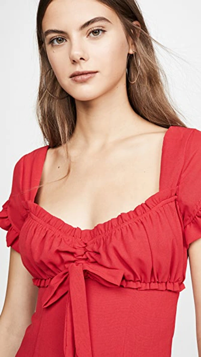 Tiger mist blossom dress sale