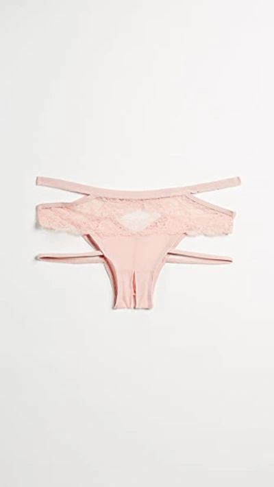 Shop Honeydew Intimates Lucy Elastic & Lace Panties In Bare