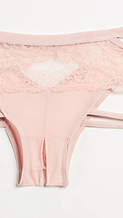 Shop Honeydew Intimates Lucy Elastic & Lace Panties In Bare