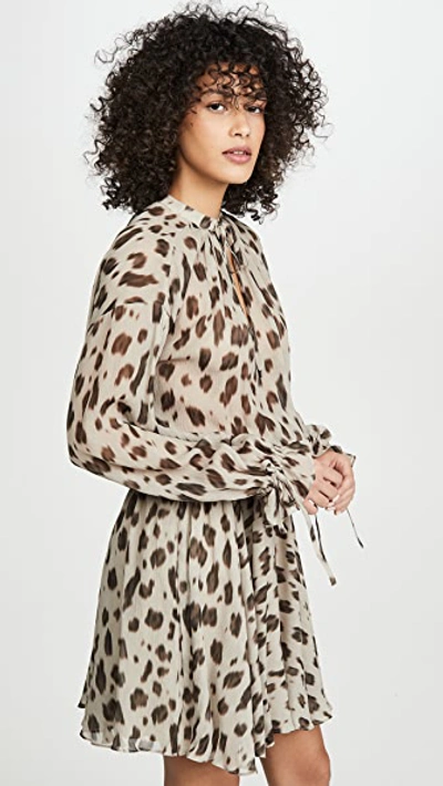 Shop Anine Bing Elliana Dress In Leopard