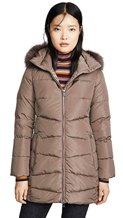 Shop Add Down Coat With Detachable Fur Hood In Castor