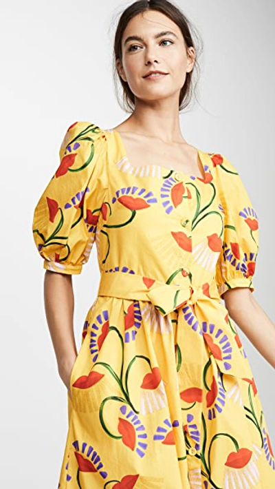 Shop Borgo De Nor Corin Floral Dress In Yellow Floral