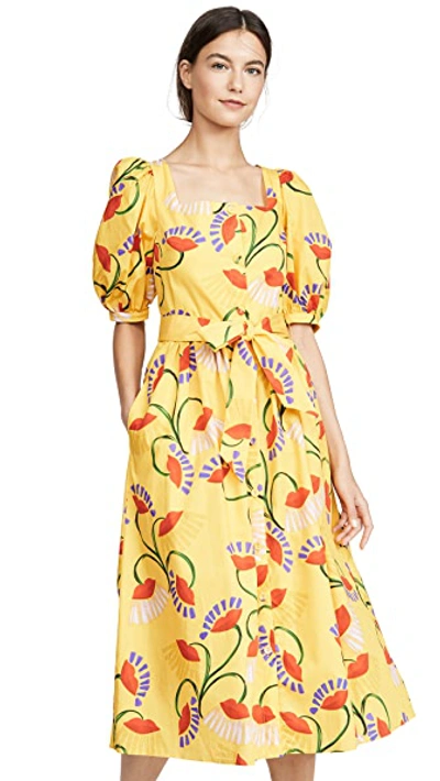 Shop Borgo De Nor Corin Floral Dress In Yellow Floral