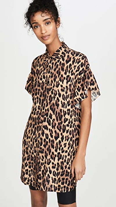 Shop Alice And Olivia Jude Ruffle Button Down Tunic Dress In Spotted Leopard Dark Tan