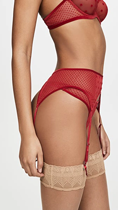 Shop Journelle Valentina Suspender Belt In Cherry