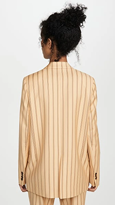 Shop Acne Studios Janny Pinstripe Blazer In Pale Orange