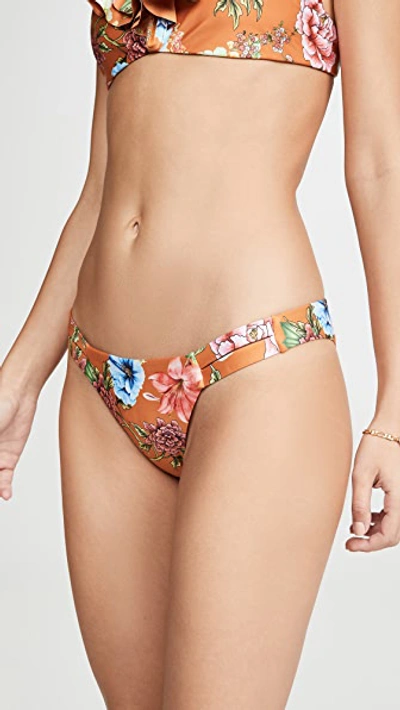 Shop Agua Bendita Polly Bikini Bottoms In Floret