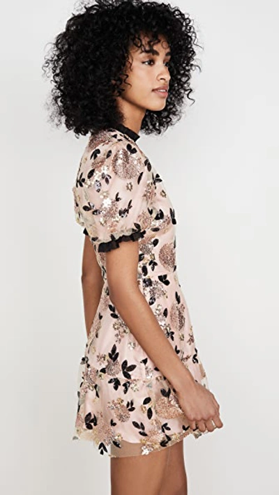 Shop Macgraw Sparrow Dress In Pink/black/gold
