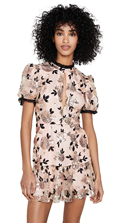 Shop Macgraw Sparrow Dress In Pink/black/gold