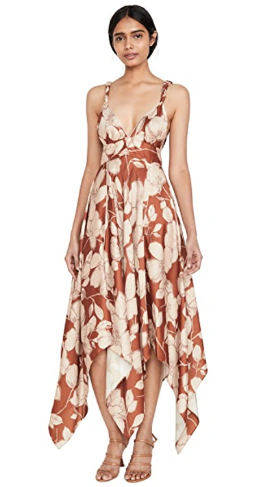 Shop Alexis Gaiana Dress In Sand Floral