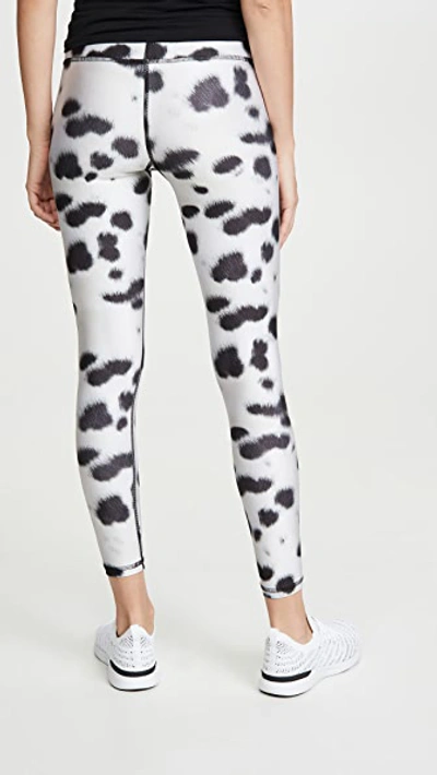 Tall Band Printed Leggings