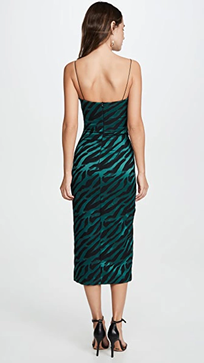 Shop Bec & Bridge Discotheque Midi Dress In Emerald Zebra