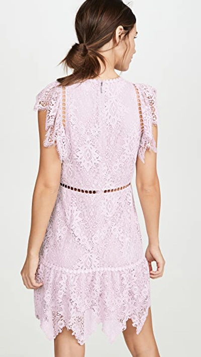 Shop Saylor Kerry Dress In Orchid