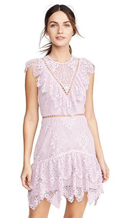Shop Saylor Kerry Dress In Orchid