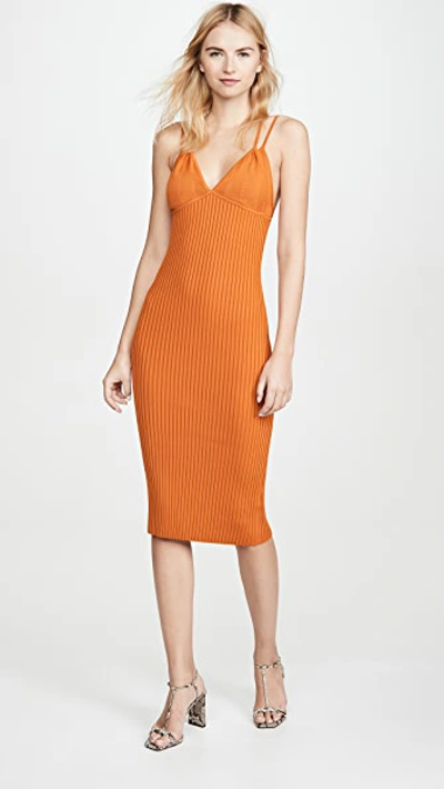 Shop Dion Lee Layered Bra Dress In Ochre