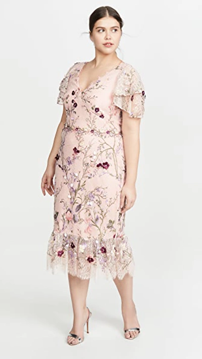Shop Marchesa Notte Embroidered Lace Cocktail Dress In Blush