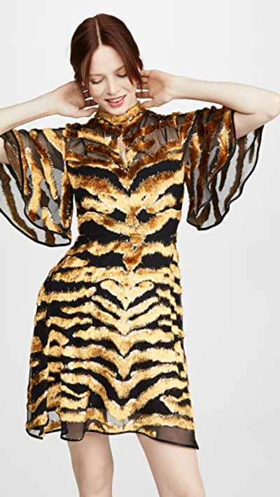 Shop Adam Lippes Mini Dress In Burnout Velvet In Tiger Burnout