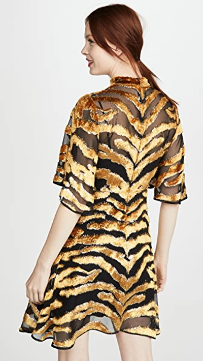 Shop Adam Lippes Mini Dress In Burnout Velvet In Tiger Burnout