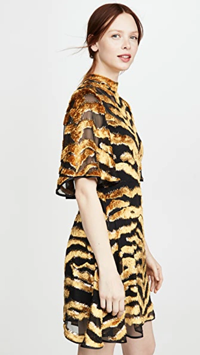 Shop Adam Lippes Mini Dress In Burnout Velvet In Tiger Burnout