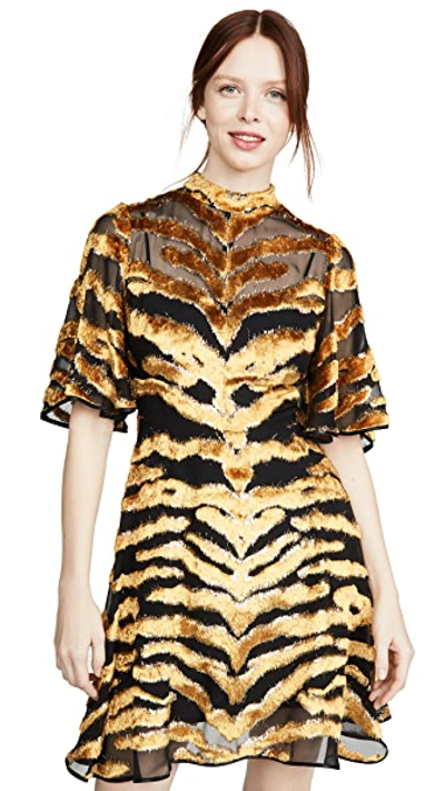 Shop Adam Lippes Mini Dress In Burnout Velvet In Tiger Burnout