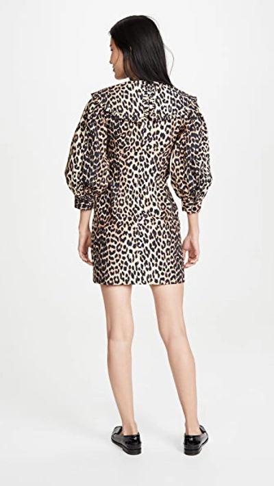 Shop Ganni Printed Cotton Poplin Dress In Leopard