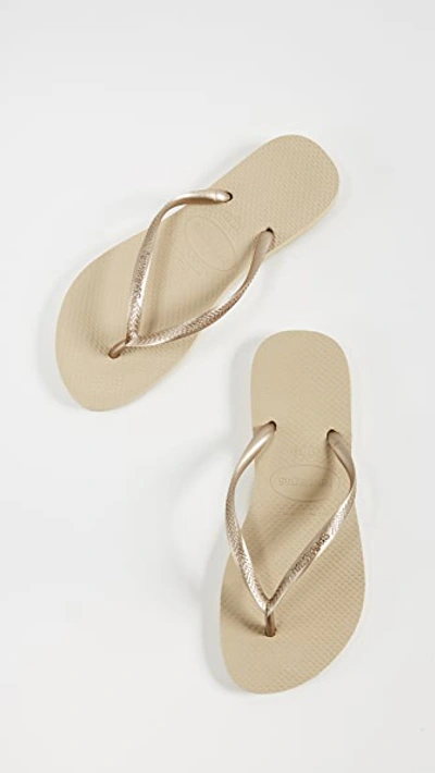 Shop Havaianas Slim Flip Flops In Sand Grey/light Golden