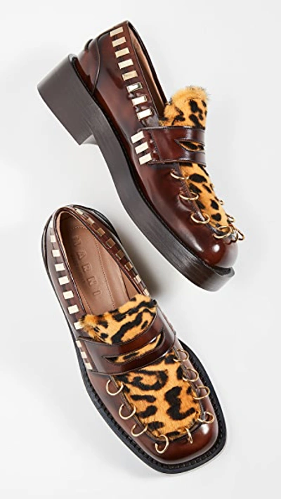 Shop Marni Ring Loafers In Mocha/gold