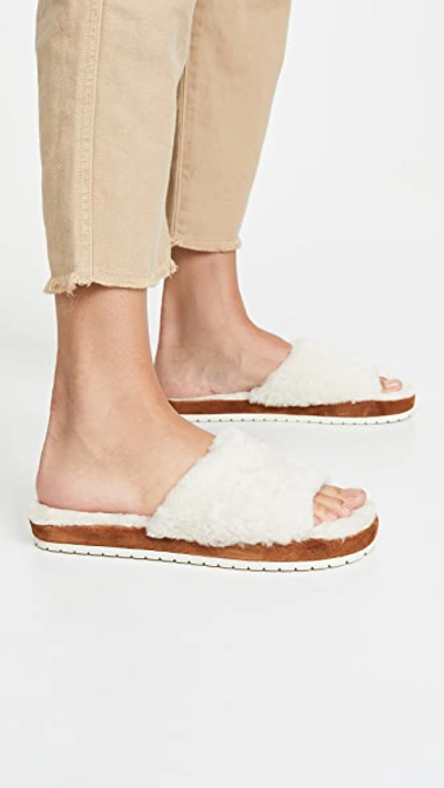 Shop Vince Kalina Slipper Slide Sandals In Turtledove