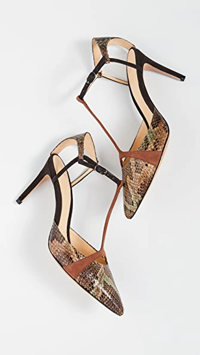 Shop Alexandre Birman Anitta Closet Toe 85mm Pumps In Multi/cognac/testa Di Moro