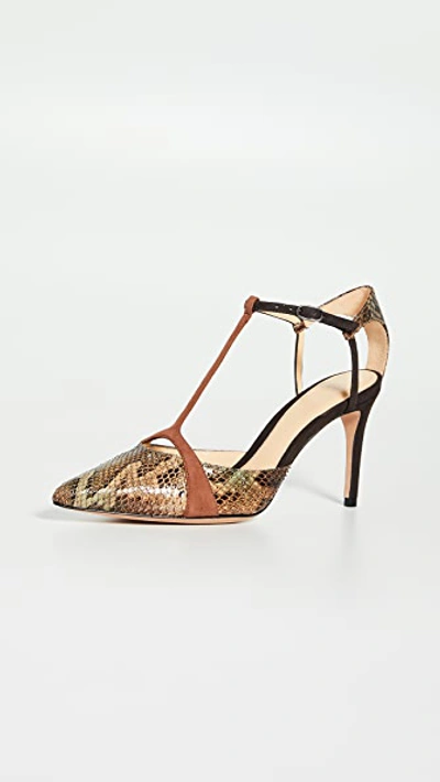 Shop Alexandre Birman Anitta Closet Toe 85mm Pumps In Multi/cognac/testa Di Moro