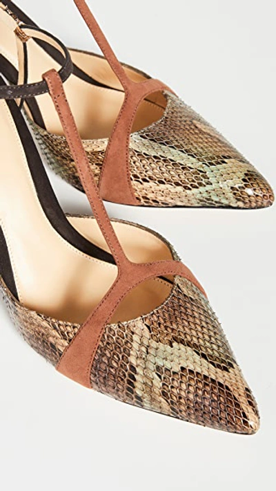 Shop Alexandre Birman Anitta Closet Toe 85mm Pumps In Multi/cognac/testa Di Moro