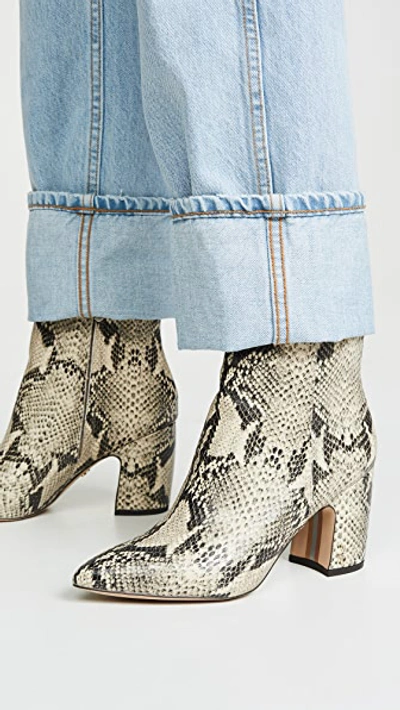 Shop Sam Edelman Hilty Booties In Bk/tan Snake Print