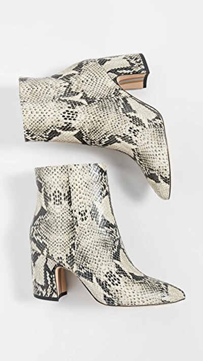 Shop Sam Edelman Hilty Booties In Bk/tan Snake Print