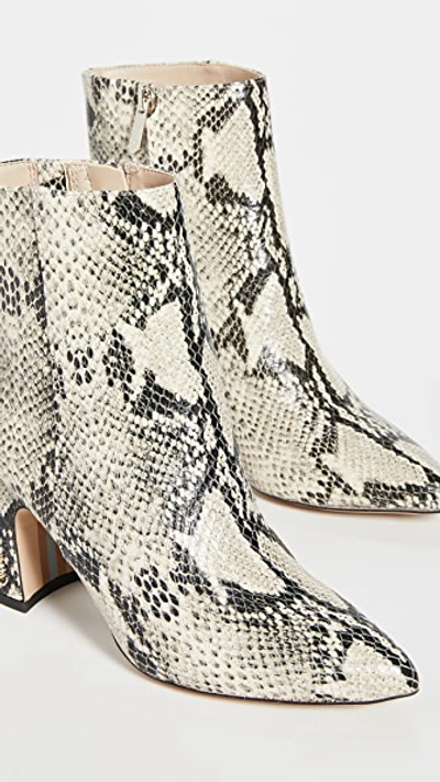 Shop Sam Edelman Hilty Booties In Bk/tan Snake Print