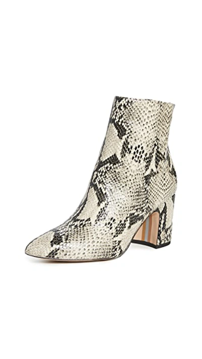 Shop Sam Edelman Hilty Booties In Bk/tan Snake Print