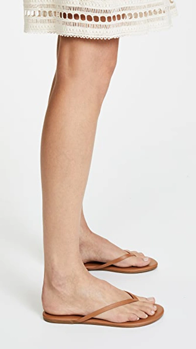 Foundations Matte Flip Flops