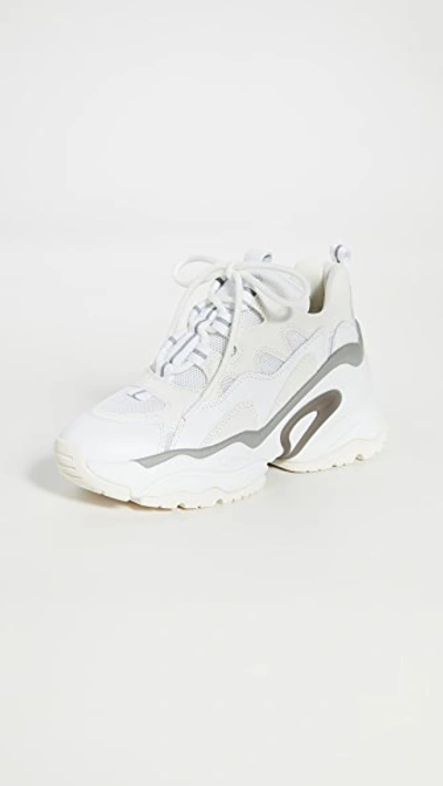 Shop Ash Bang Sneakers In White/meshwhite/dragonwhite