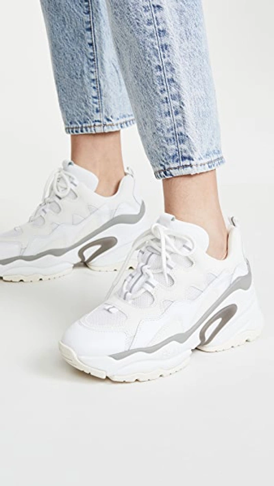 Shop Ash Bang Sneakers In White/meshwhite/dragonwhite