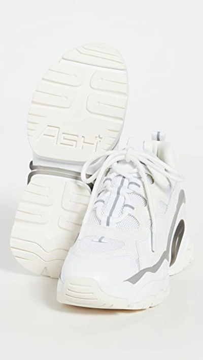 Shop Ash Bang Sneakers In White/meshwhite/dragonwhite