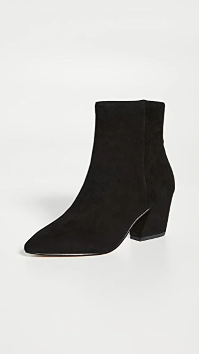 Shop Botkier Sasha Point Toe Booties In Black