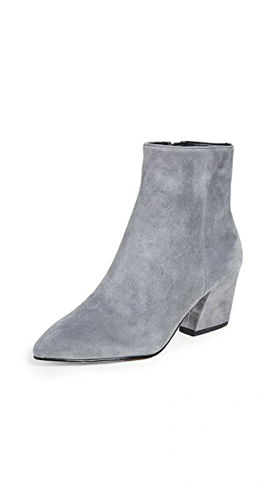 Shop Botkier Sasha Point Toe Booties In Slate