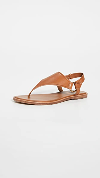 Shop Vince Pharis Sandals In Hazelnut