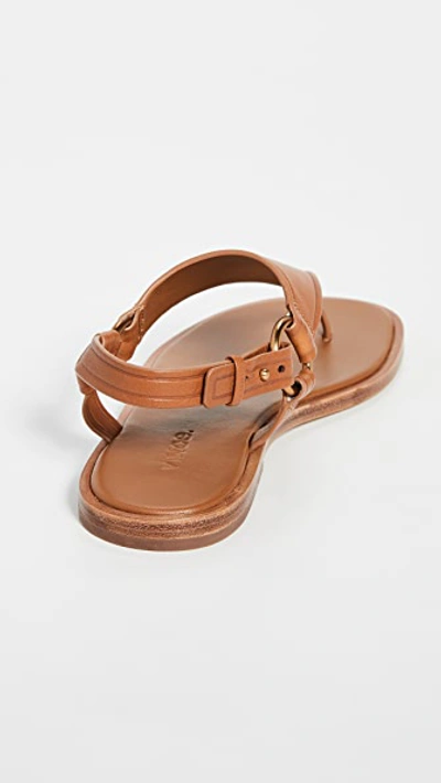 Shop Vince Pharis Sandals In Hazelnut